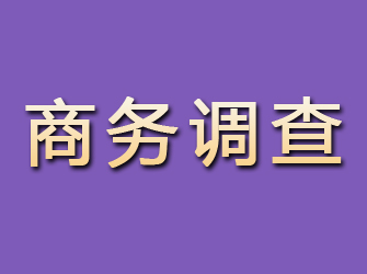 霞浦商务调查